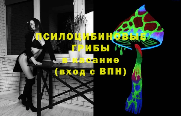 ALPHA PVP Белокуриха
