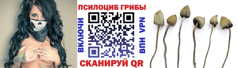 Галлюциногенные грибы MAGIC MUSHROOMS  мориарти какой сайт  Белоусово 